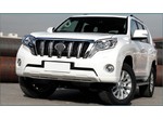 Накладки на решетку радиатора TOYOTA L/C150 Турция нержавейка. Толщина металла 1мм!! купить в Минске